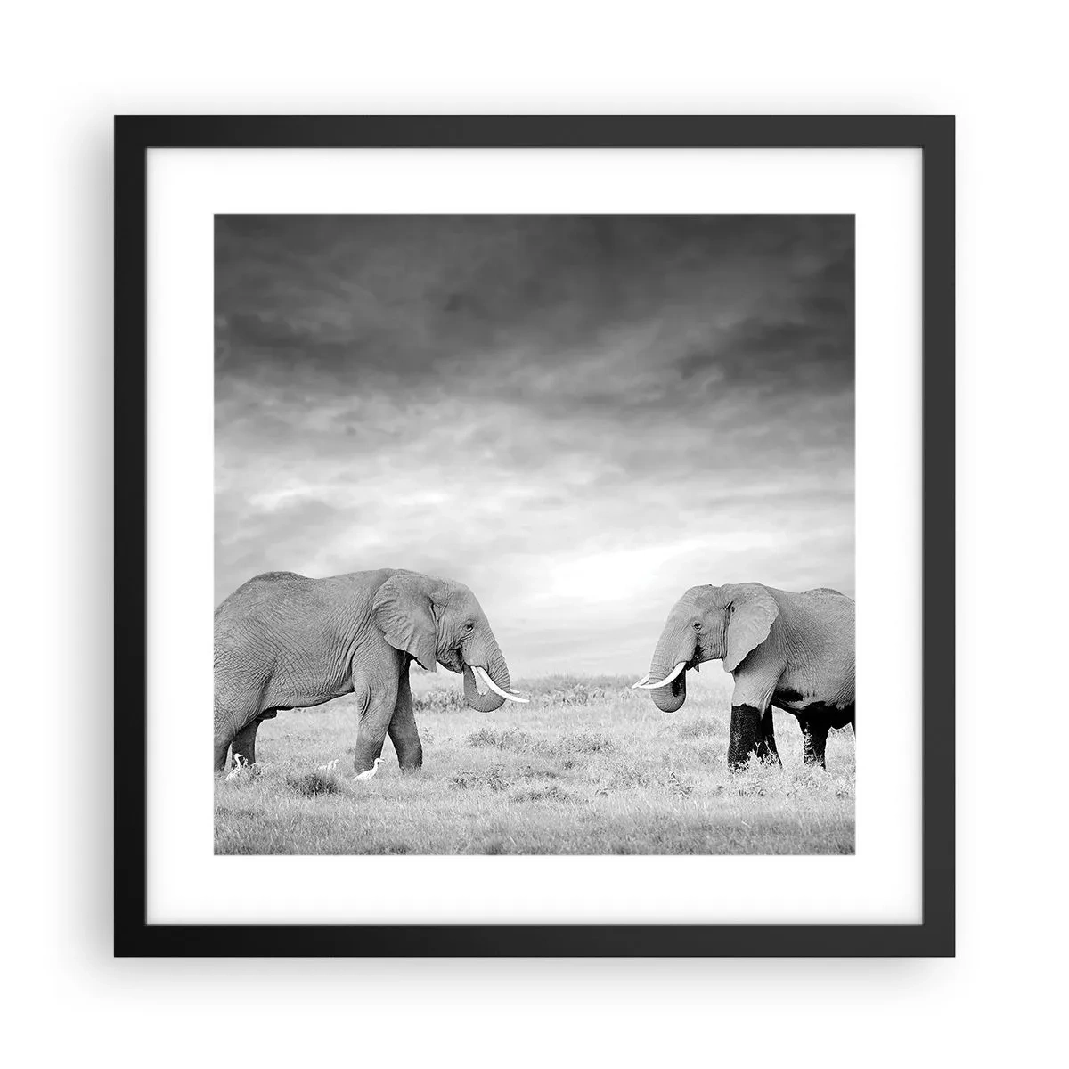 Plagát v čiernom ráme - Šedá je krásna - 40x40 cm