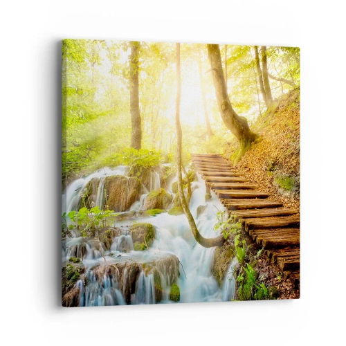 Obraz na plátne - Vytúžený chlad - 40x40 cm