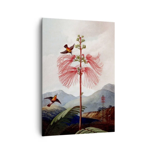 Obraz na plátne - V tropickom raji - 70x100 cm