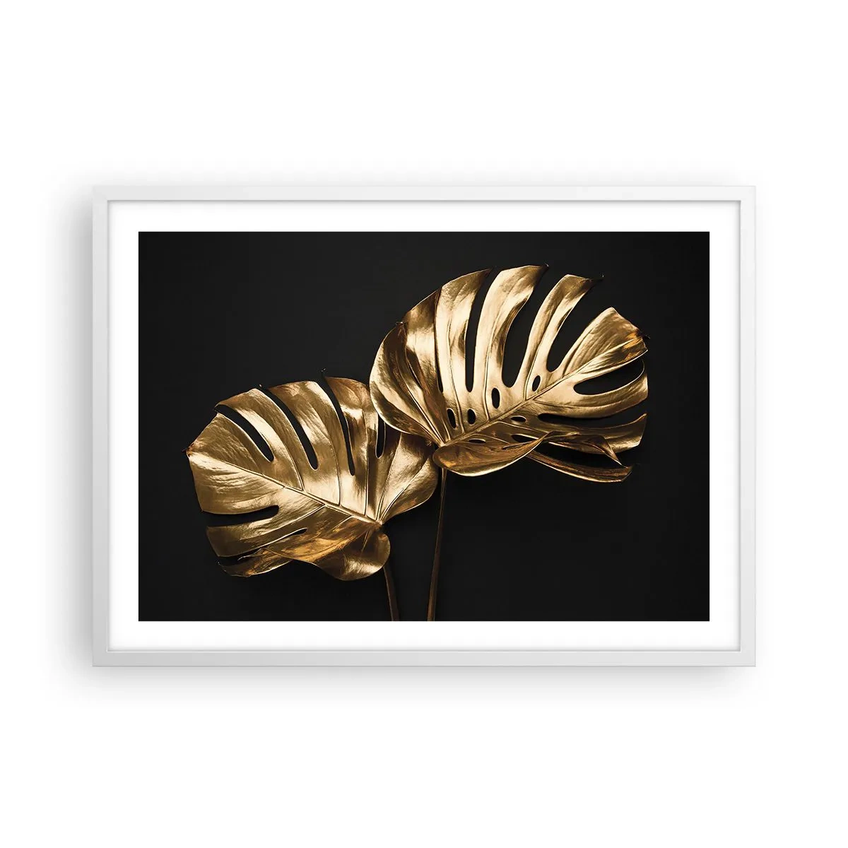 Plagát v bielom ráme - Poklady prírody - 70x50 cm