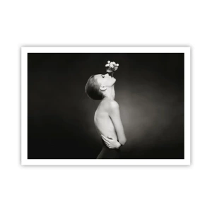 Plagát - Excentrická elegancia - 100x70 cm