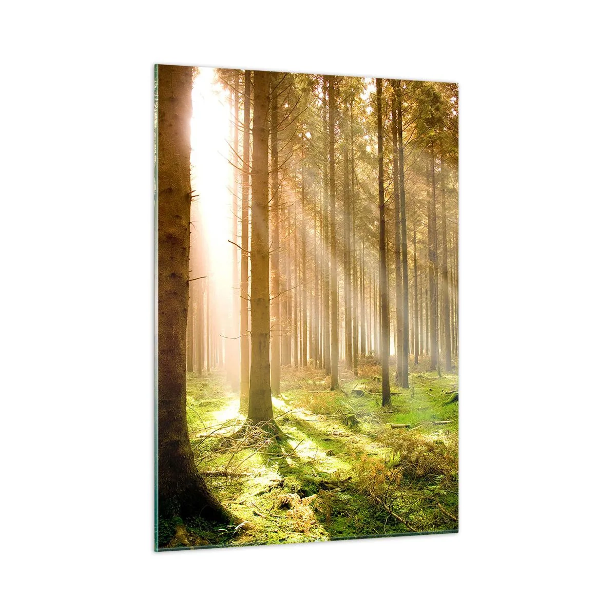 Obraz na skle - Čoskoro sa objavia elfovia - 50x70 cm