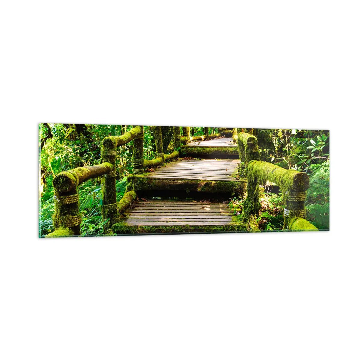 Obraz na skle - Chodbou zelene - 90x30 cm
