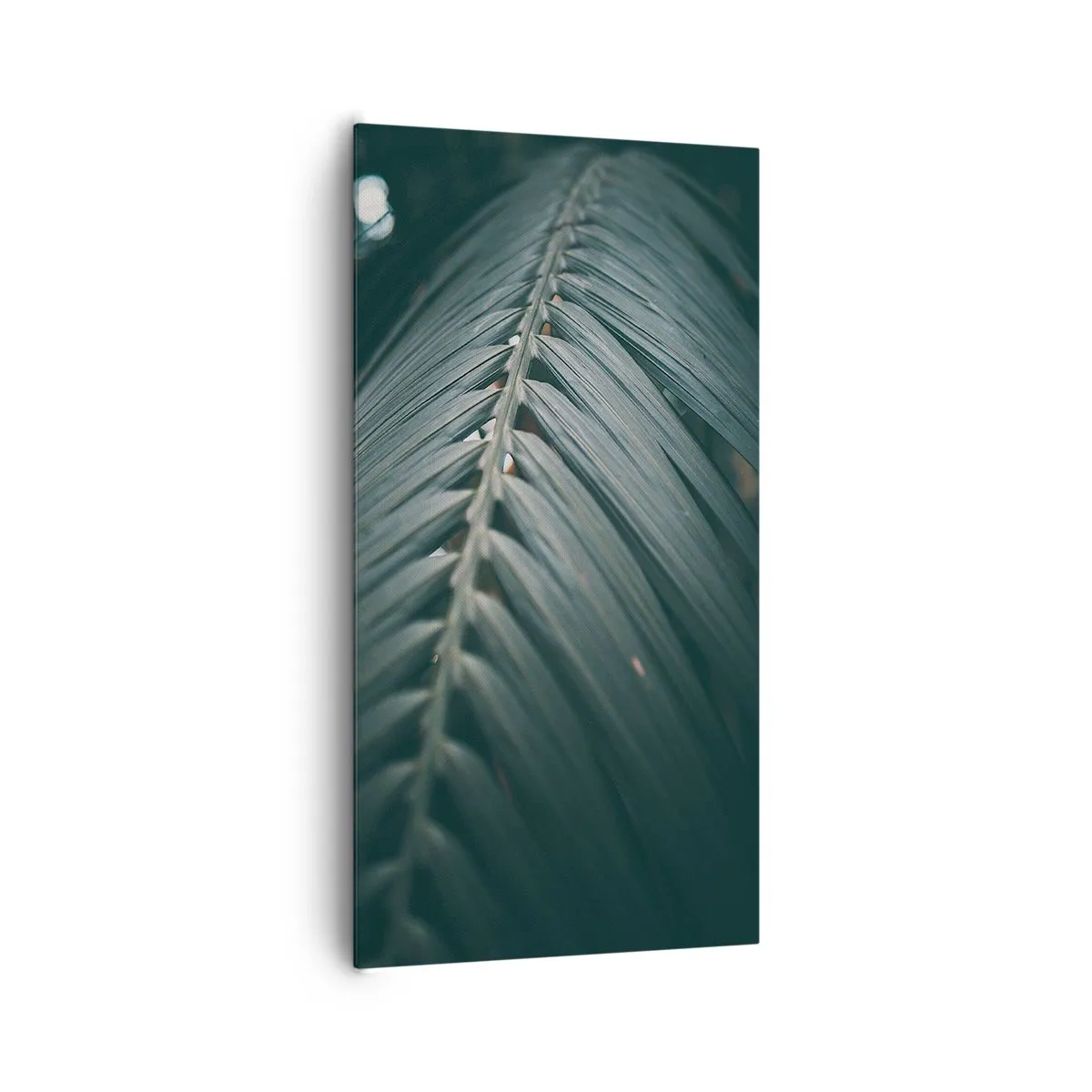 Obraz na plátne - Presnosť prírody - 65x120 cm