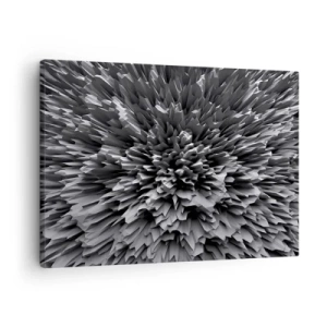 Obraz na plátne - Abstraktná štruktúra v odtieňoch sivej - 70x50cm - Ostrejšie to už nebude - Moderná nástenná dekorácia do obývacej izby a spálne ARTTOR