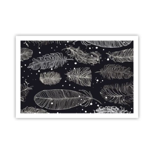 Plagát - Čipka s perím - 91x61 cm