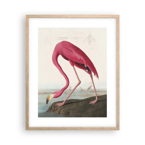 Plagát v ráme zo svetlého duba - Úžasná tvora - 40x50 cm