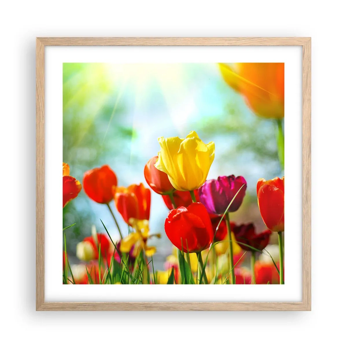 Plagát v ráme zo svetlého duba - Všetky farby slnka - 50x50 cm