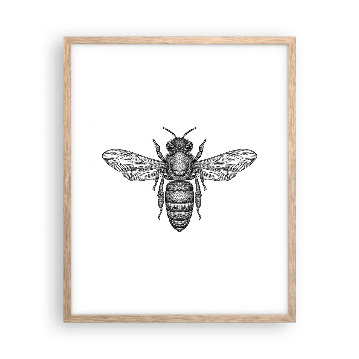 Plagát v ráme zo svetlého duba - Hmyzí portrét - 40x50 cm