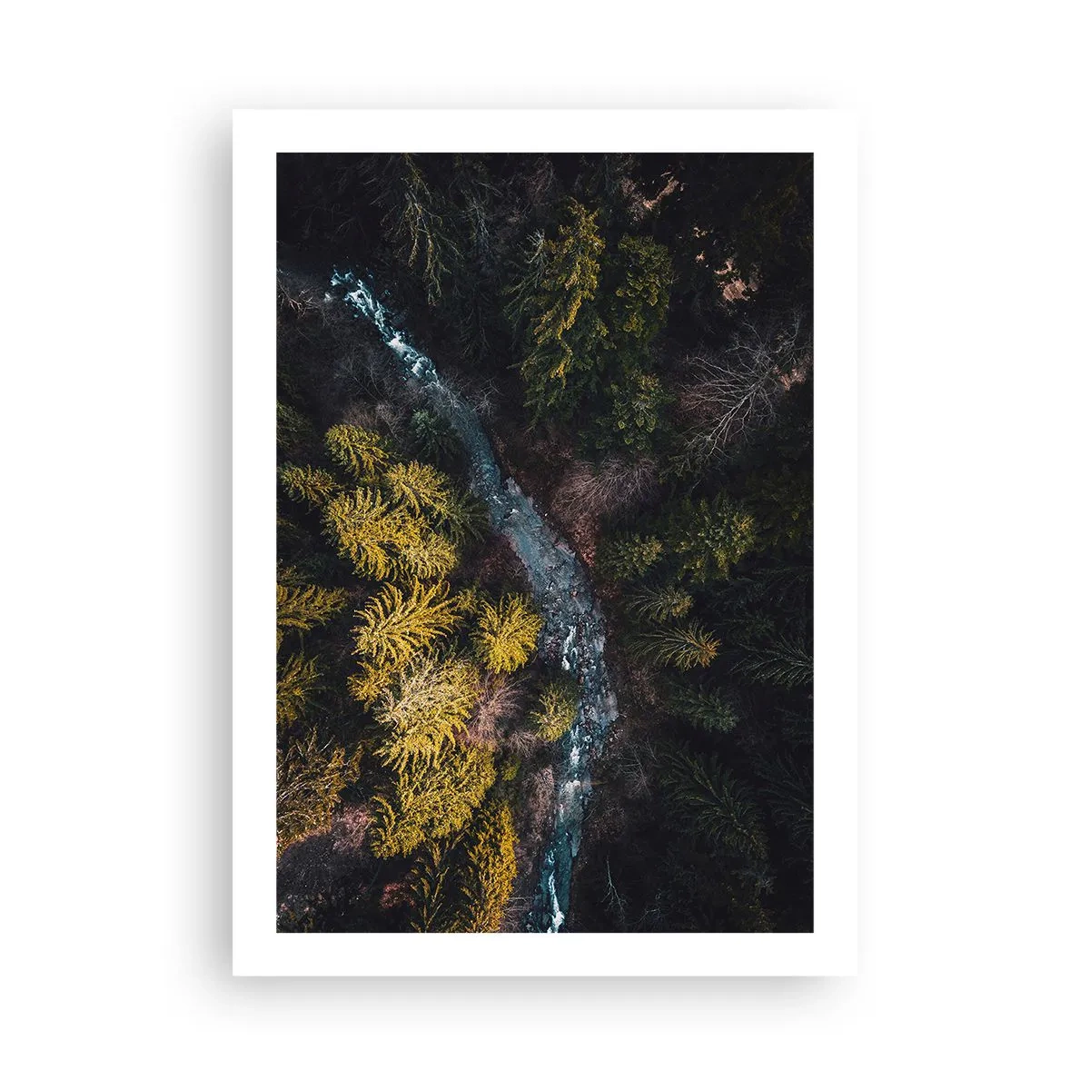 Plagát - Rýchlo, stále rýchlejšie - 50x70 cm