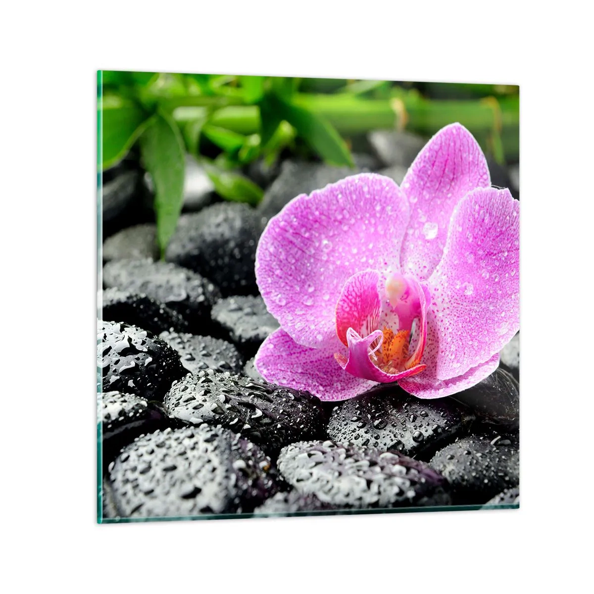 Obraz na skle - Ako otvorené srdce - 40x40 cm