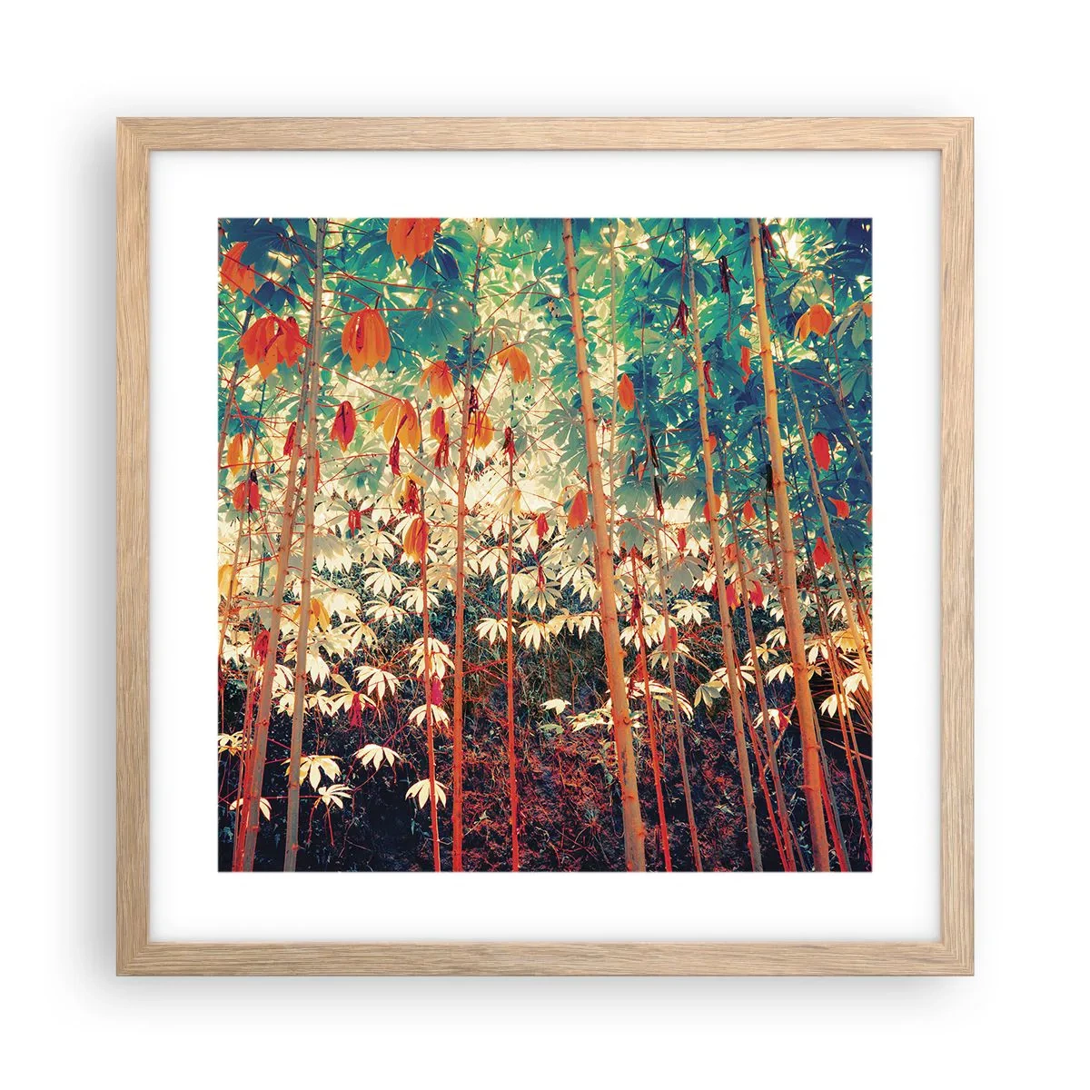 Plagát v ráme zo svetlého duba - Tajný život listov - 40x40 cm