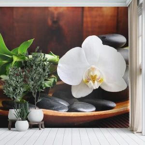 Fototapeta Premium Canvas - Oddajte sa dotyku prírody - Kvety, Orchidea, Orchidea - 200x140 cm