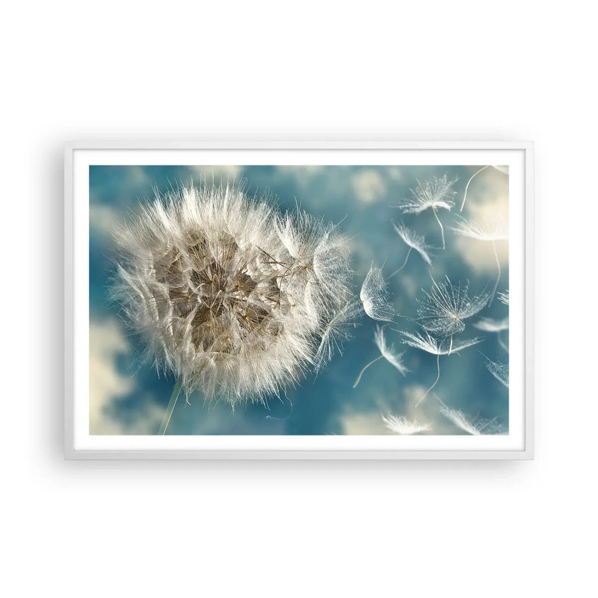 Plagát v bielom ráme - Dych anjela - 91x61 cm