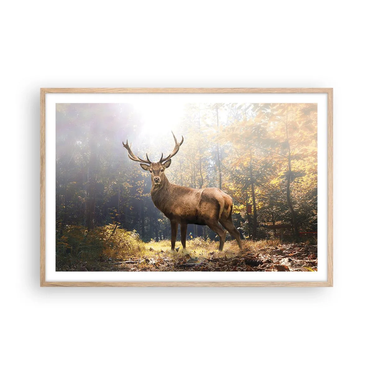 Plagát v ráme zo svetlého duba - Plné dôstojnosti - 91x61 cm