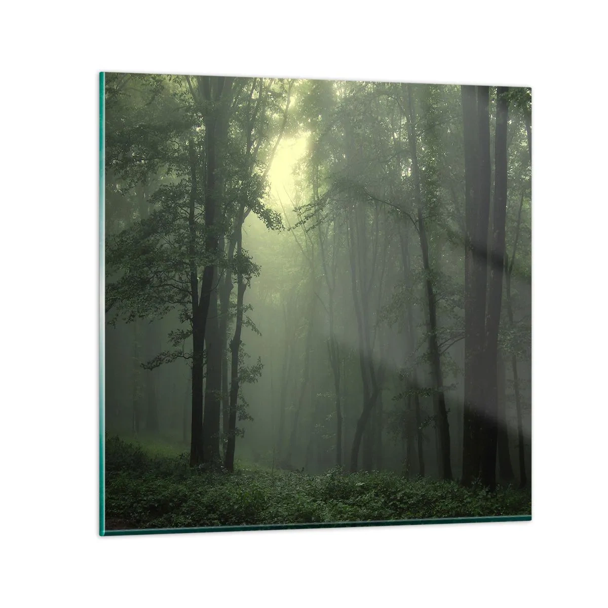 Obraz na skle - Než sa prebudí - 60x60 cm