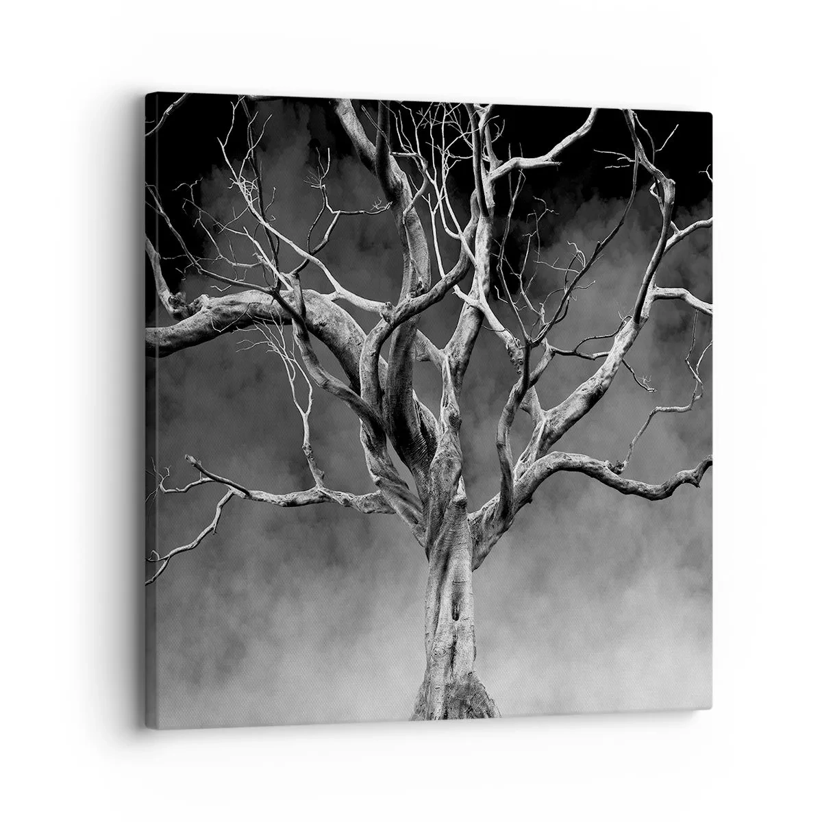 Obraz na plátne - Pôvodné a sväté - 30x30 cm