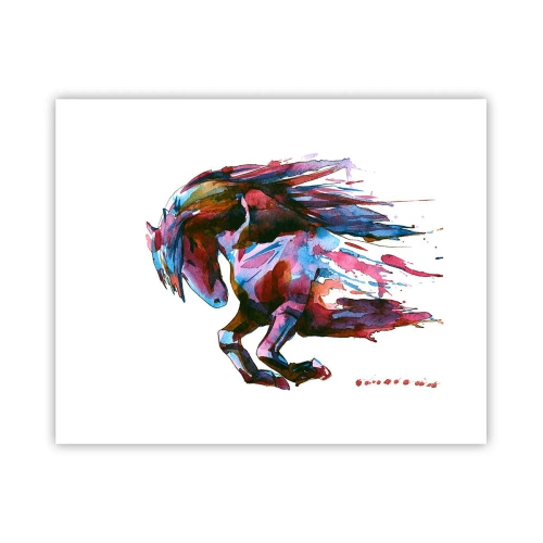 Plagát - Nadšenie - 50x40 cm