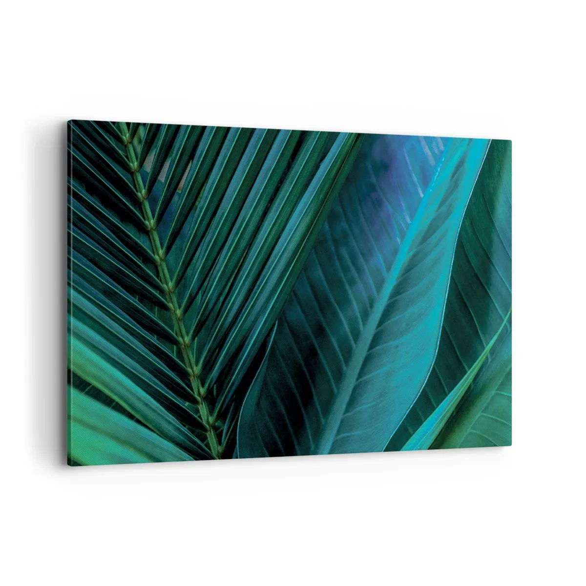 Obraz na plátne - Anatómia zelene - 120x80 cm