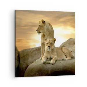 Obraz na plátne - Kráľovský majestát - 50x50 cm