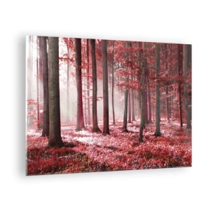 Obraz na skle - Jesenný les v červených farbách a ranná hmla - 70x50cm - Červená je rovnako krásna - Moderná nástenná dekorácia do obývacej izby a spálne ARTTOR