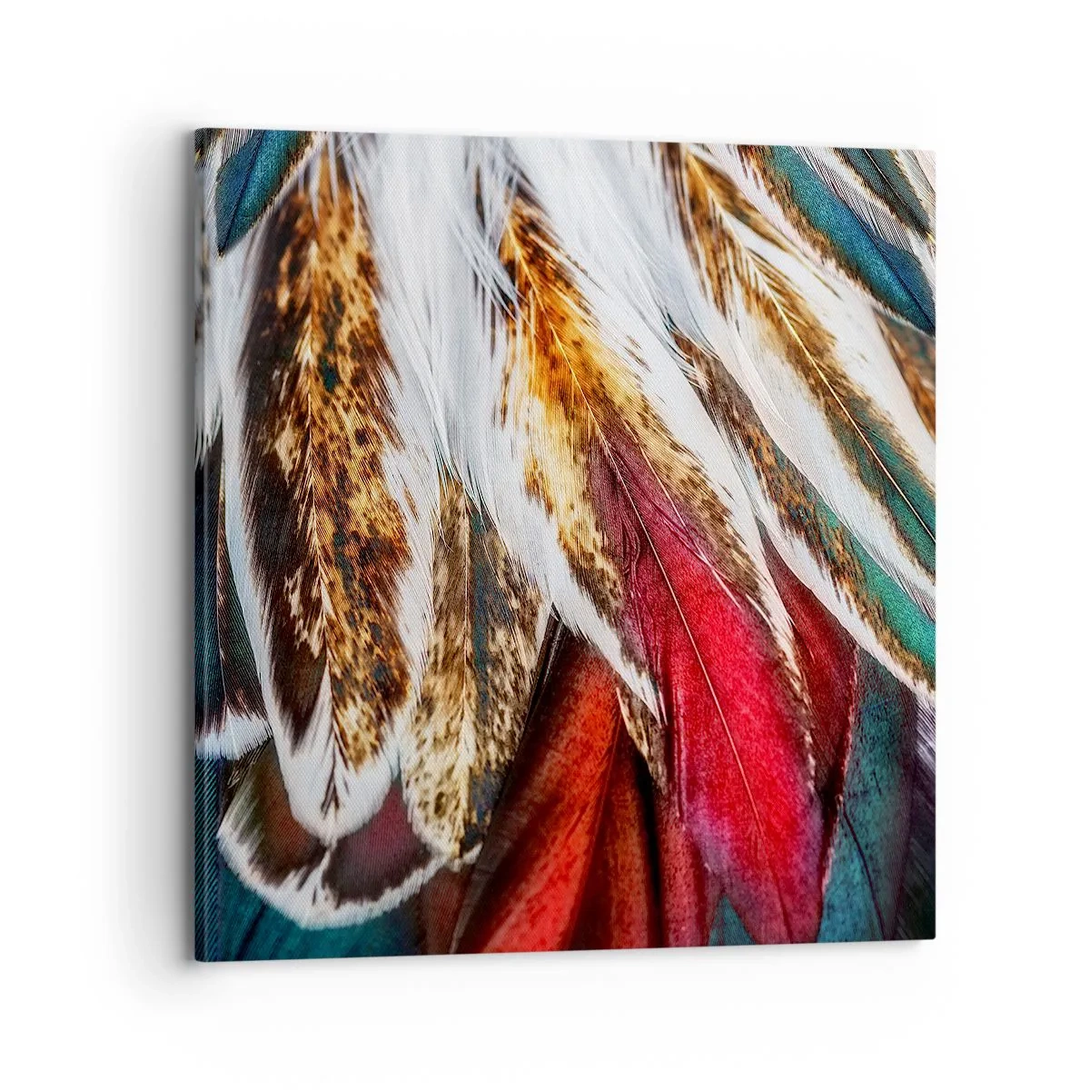 Obraz na plátne - Tajomstvo letu - 70x70 cm