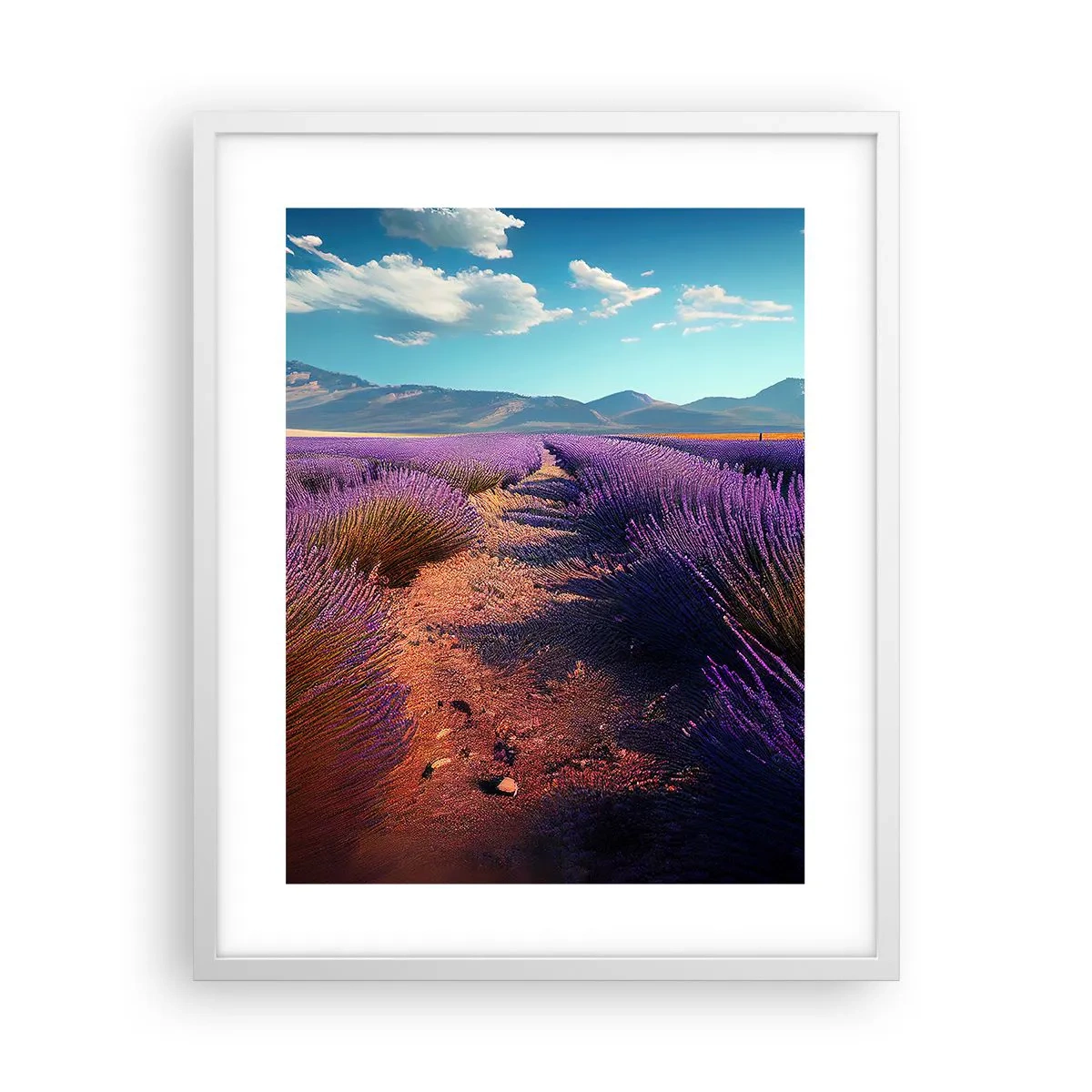 Plagát v bielom ráme - Voňavé polia - 40x50 cm