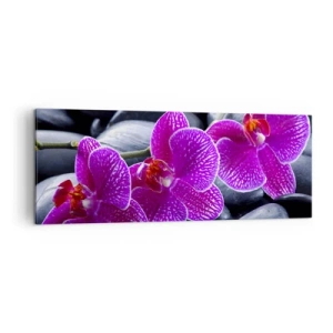 Obraz na plátne - Kamene sa rozžiarili nadšením - 140x50 cm
