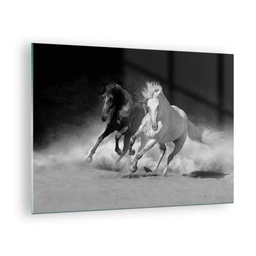 Obraz na skle - Bežiace kone v čiernej a bielej farbe - 70x50cm - Cval slobody - Moderná nástenná dekorácia do obývacej izby a spálne ARTTOR