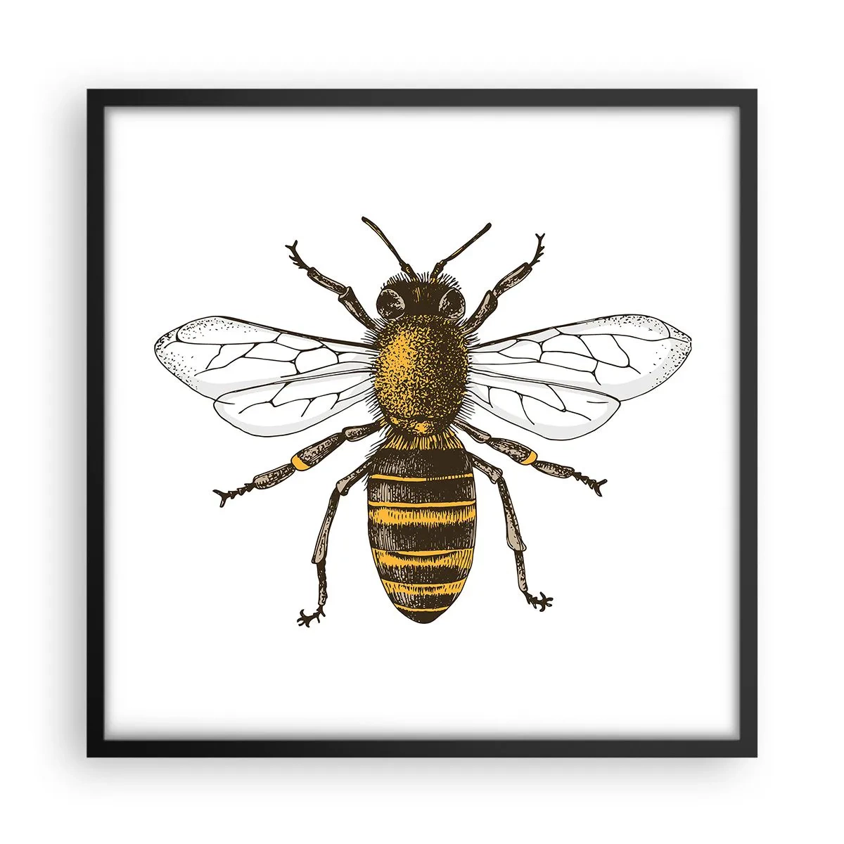 Plagát v čiernom ráme - Krásna a dobrá - 50x50 cm