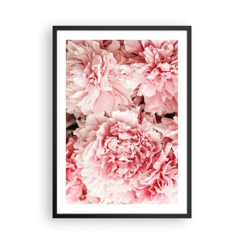 Plagát v čiernom ráme - Jemné ružové pivonky v plnom kvete - 50x70cm - Ružový sen - Moderná nástenná dekorácia do obývacej izby a spálne ARTTOR