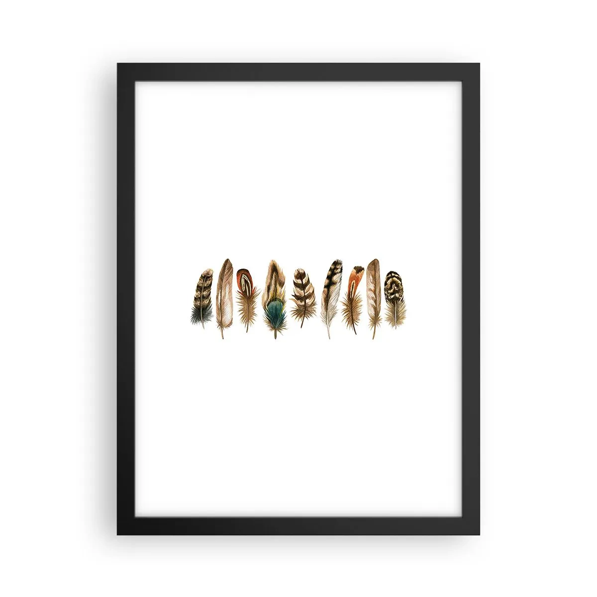 Plagát v čiernom ráme - Operená variácia - 30x40 cm