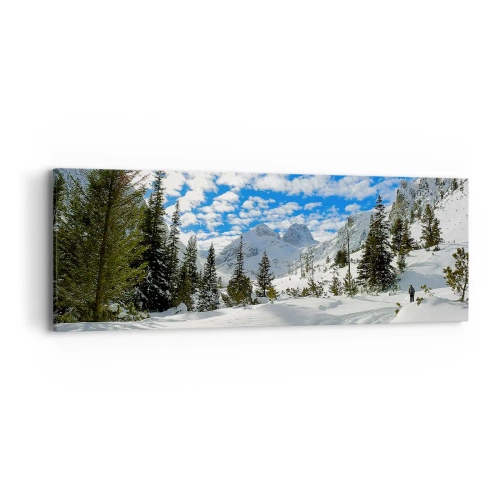 Obraz na plátne - V snehu a na slnku - 90x30 cm