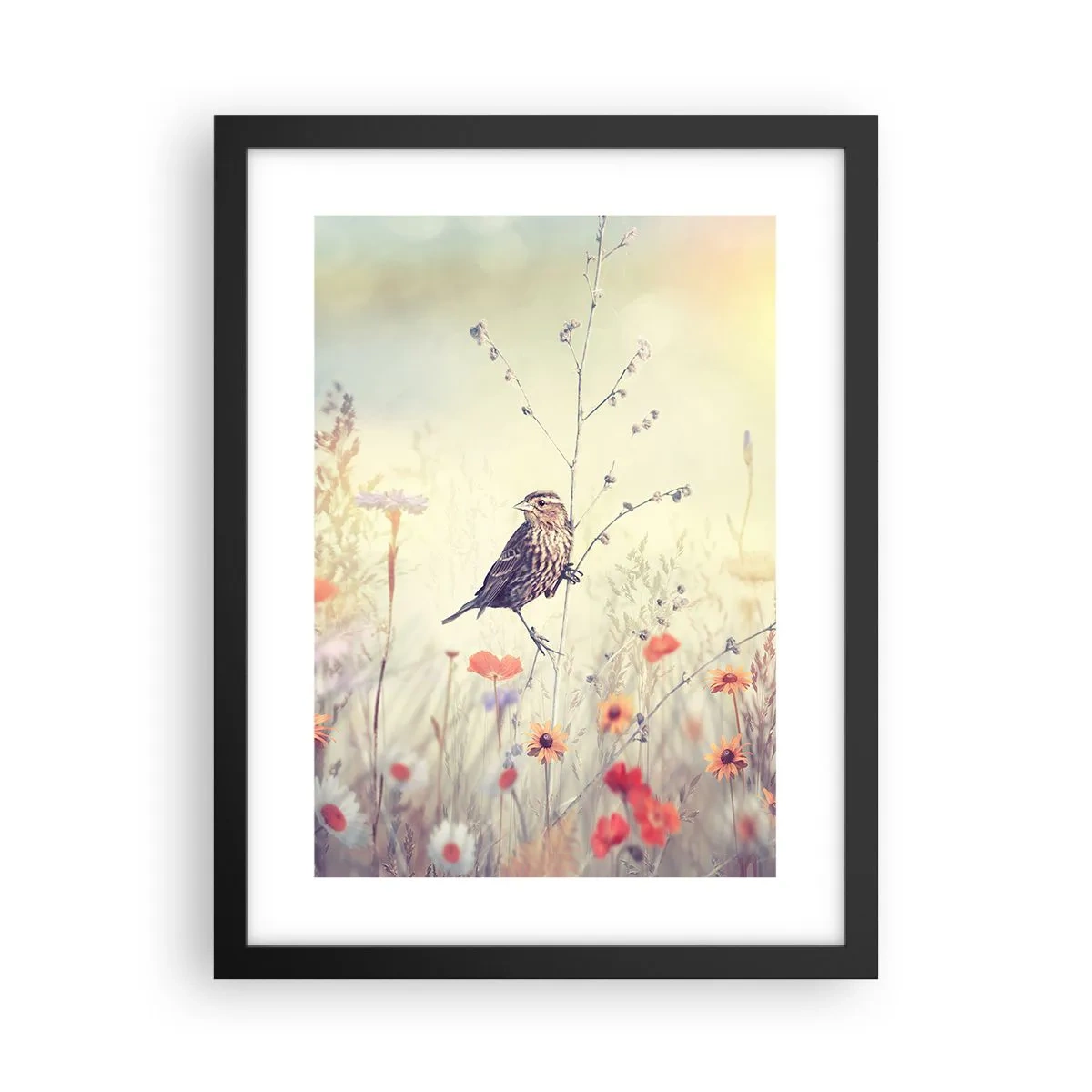 Plagát v čiernom ráme - Portrét vtáka s lúkou v pozadí - 30x40 cm
