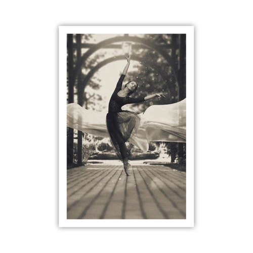 Plagát - Tanec ducha záhrady - 61x91 cm