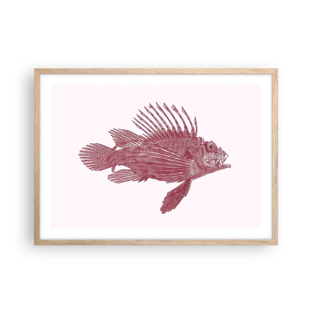 Plagát v ráme zo svetlého duba - Obyvateľka exotických vôd - 70x50 cm