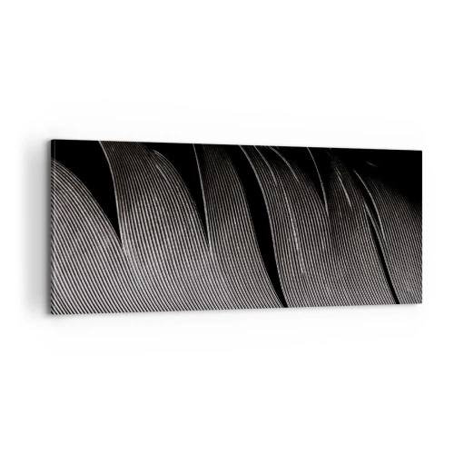 Obraz na plátne - Perie – nádherná konštrukcia - 100x40 cm