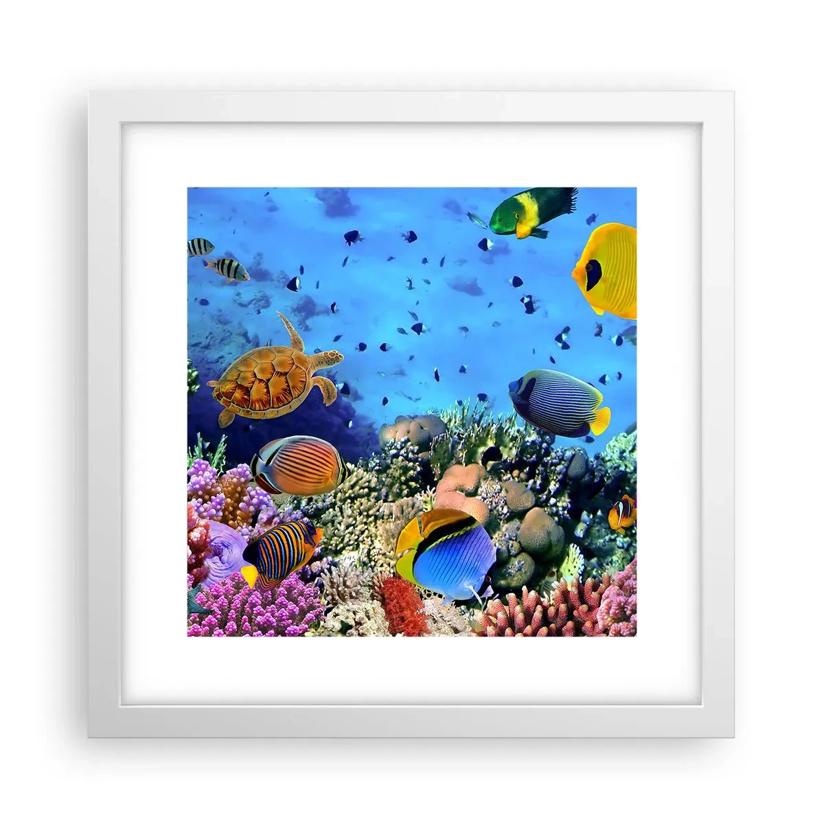 Plagát v bielom ráme - Čo vieme o živote… - 30x30 cm