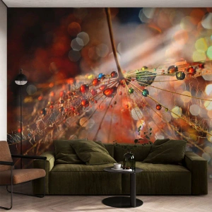 Fototapeta Premium Canvas - Navlečené na pavučinu - Abstrakcia, pavučina, Kus - 350x256 cm