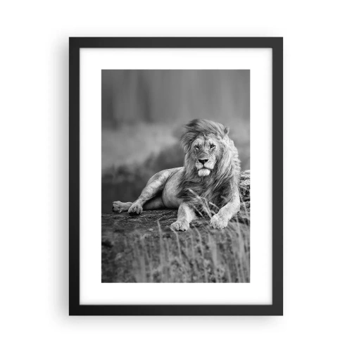 Plagát v čiernom ráme - Kráľovská siesta - 30x40 cm