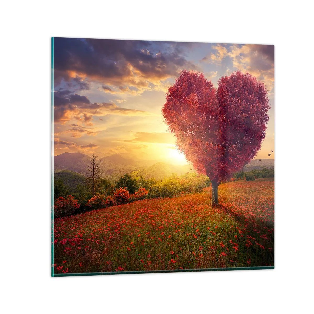 Obraz na skle - Je to dojemné - 70x70 cm