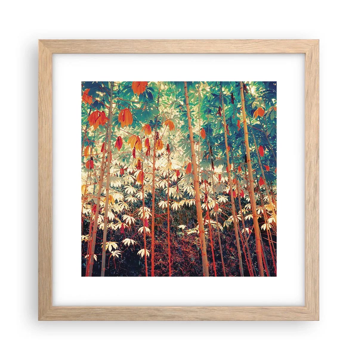 Plagát v ráme zo svetlého duba - Tajný život listov - 30x30 cm