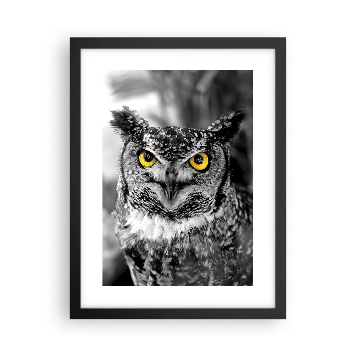 Plagát v čiernom ráme - Nič sa neschová - 30x40 cm