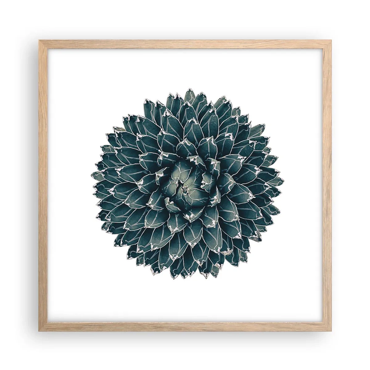 Plagát v ráme zo svetlého duba - Hviezda púšte - 50x50 cm