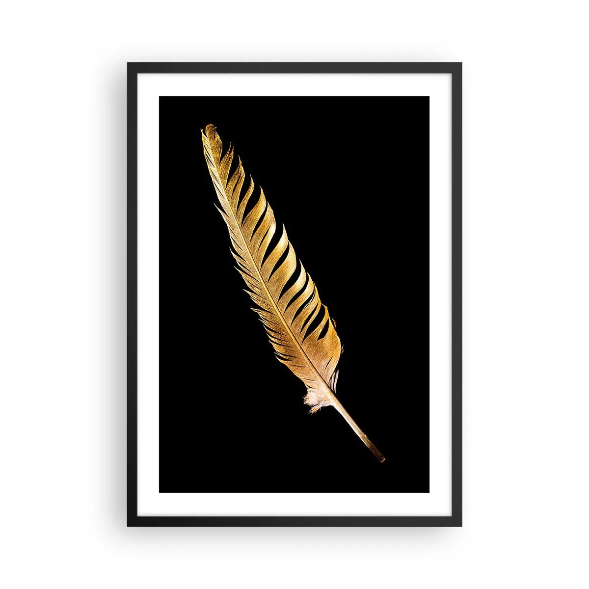 Plagát v čiernom ráme - Zlaté pierko na čiernom pozadí - 50x70cm - Krásne pierko… - Moderná nástenná dekorácia do obývacej izby a spálne ARTTOR