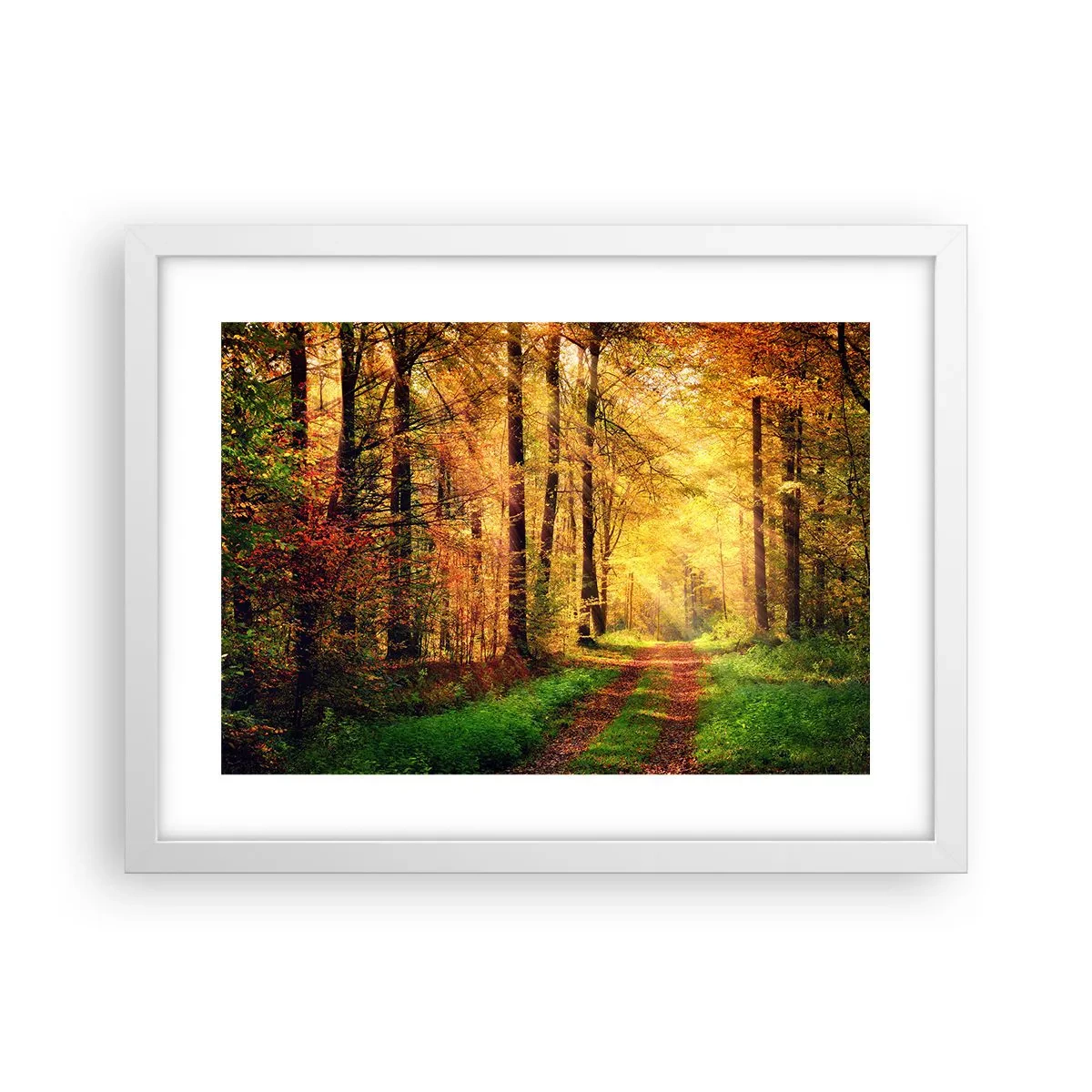 Plagát v bielom ráme - Lesno-zlaté ticho - 40x30 cm