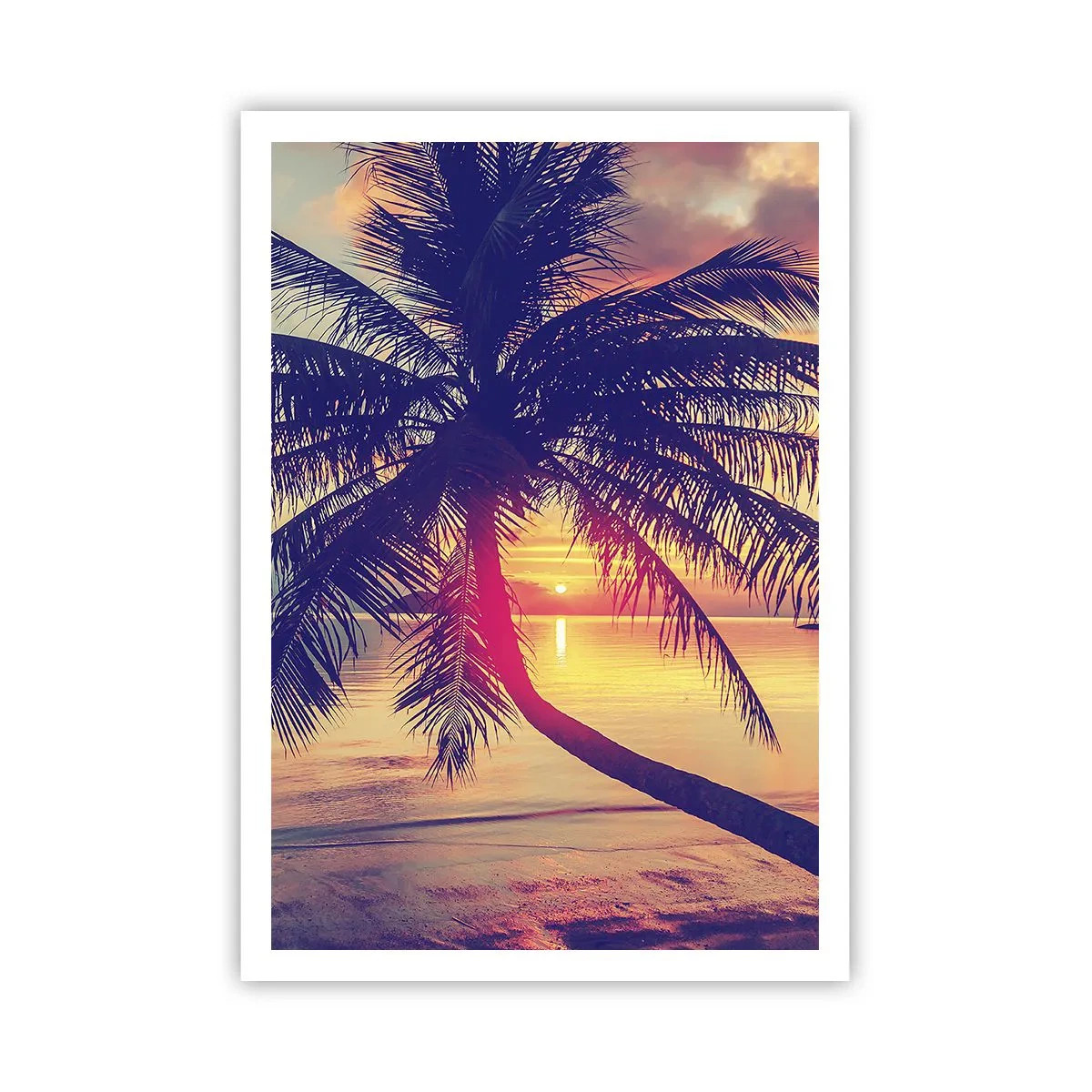 Plagát - Večer pod palmami - 70x100 cm