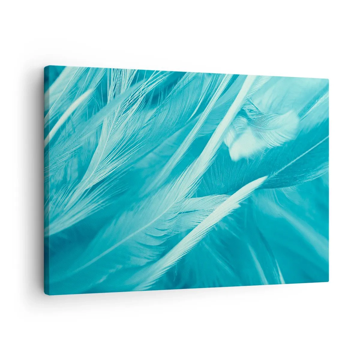 Obraz na plátne - Jemné tyrkysové pierka detailný záber - 70x50cm - Utopiť sa v páperí - Moderná nástenná dekorácia do obývacej izby a spálne ARTTOR