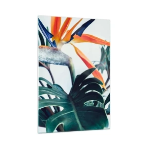 Obraz na skle - Vtáker - 70x100 cm