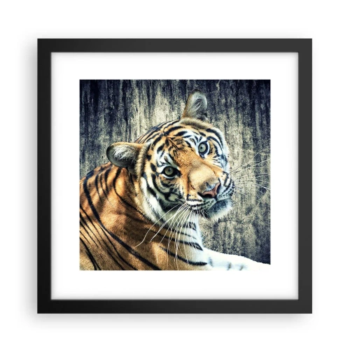 Plagát v čiernom ráme - Portrét v prameňoch svetla - 30x30 cm